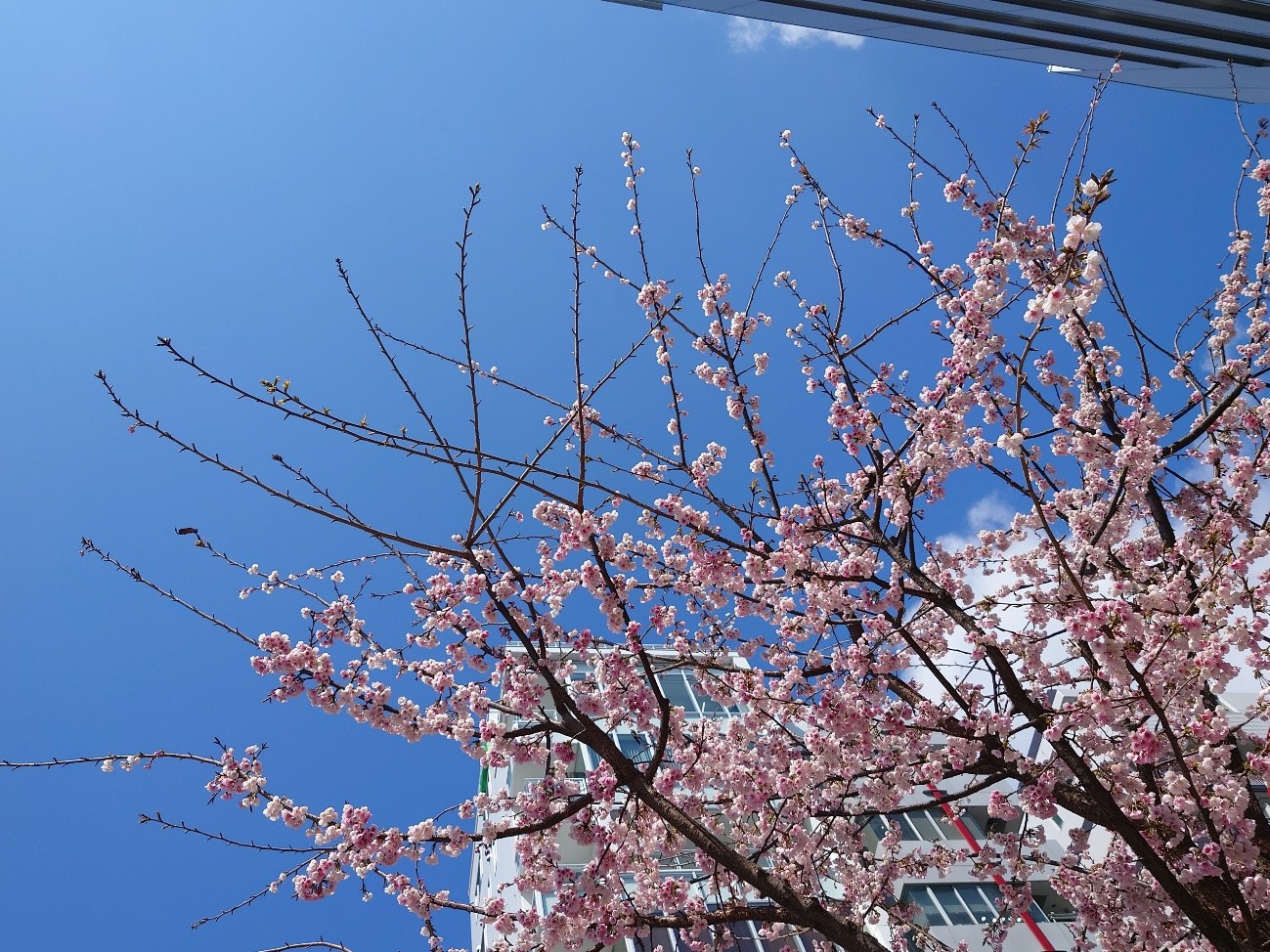 2025年3月24日(月)