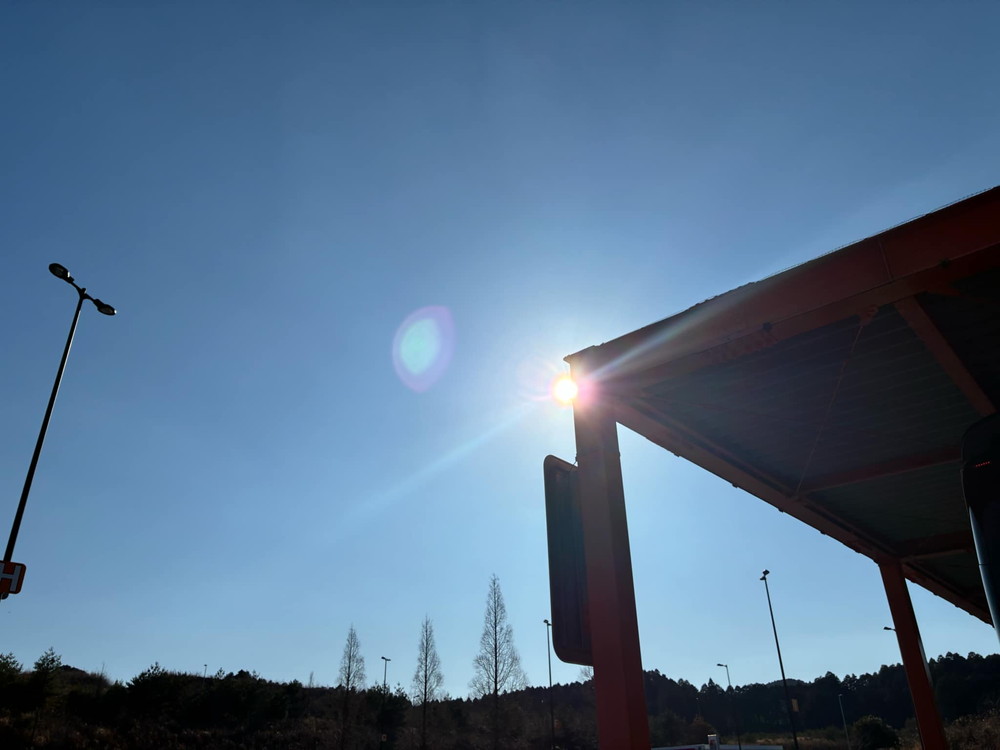 2025年3月2日（日）