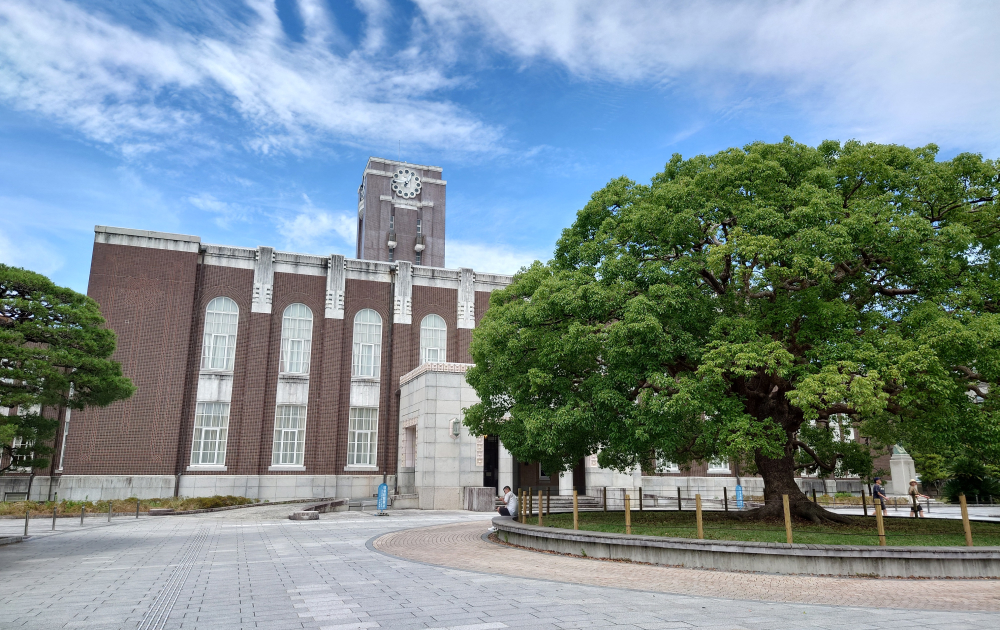 2025年3月8日(土)