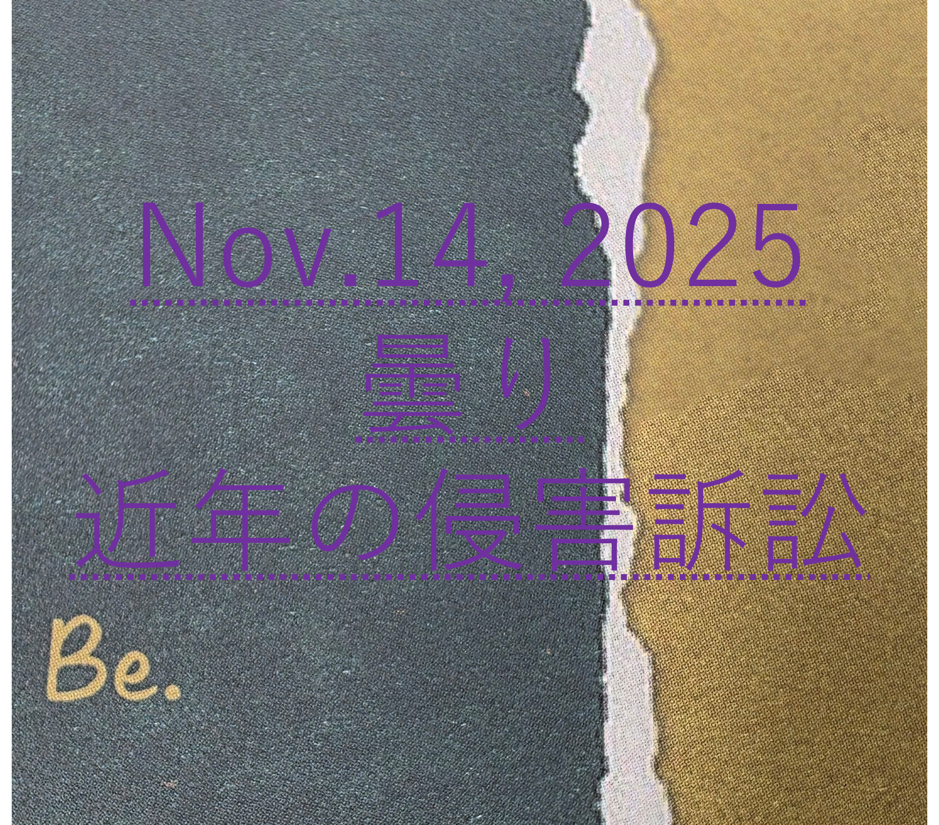 2025年11月14日
